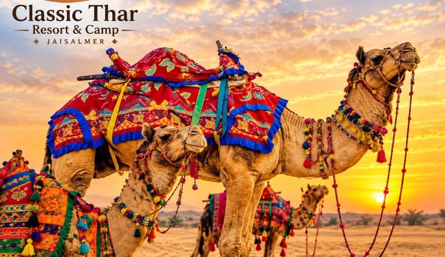Classic Thar Resorts &Camps Jaisalmer in Jaisalmer