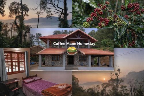 Coffee Mane in Hanbal