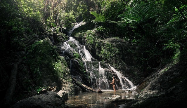 Daintree Ecolodge in Lower Daintree