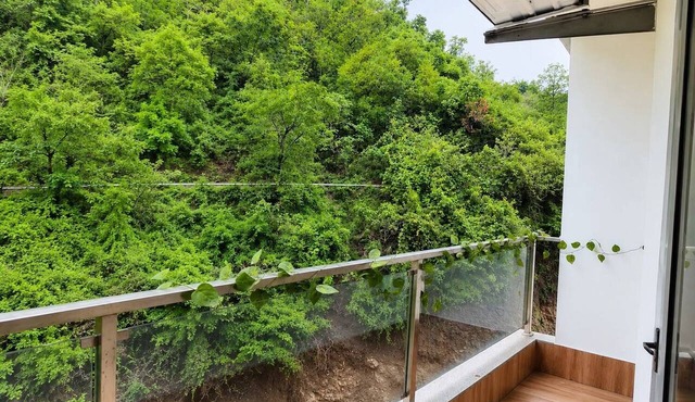 Golden Hours | Balcony Stay in Tapovan in Rishikesh
