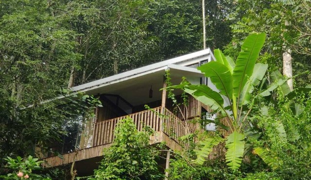 Illi Villa -Bamboo claded cottage in Kunchithanny: Where Munnar comes to exhale.