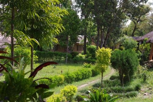 Jungle Base Camp in Bardia