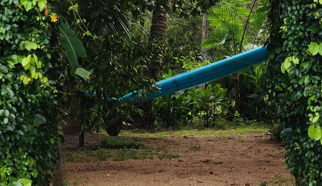 Kadingis homestay and eco tourism