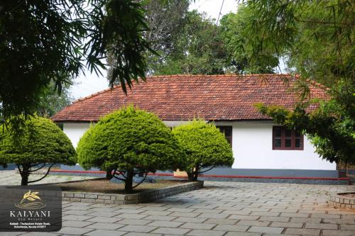 Kalyani Resort