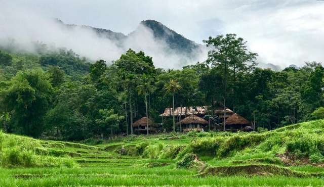 Lua Pu Luong in Pu Long Nature Reserve