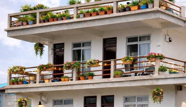 LuxeHaven Homestay-a Peaceful Escape in Darjeeling