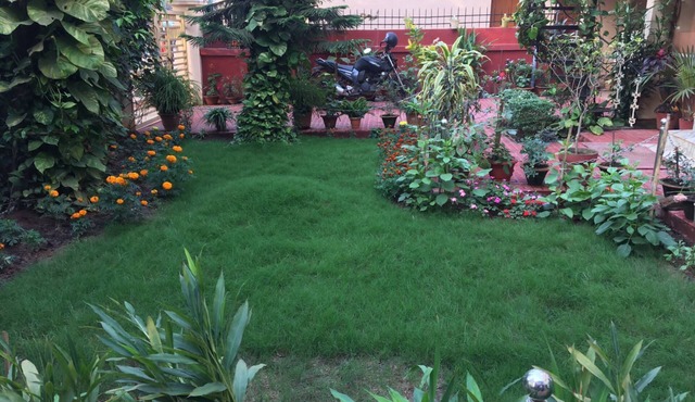 Mahanadi: Spacious room with attached bathroom@ Nabagunjara Terrace in Bhubaneswar