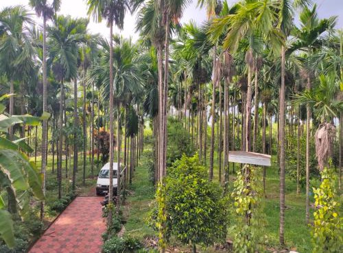 Silent River Homestay in Perdūru