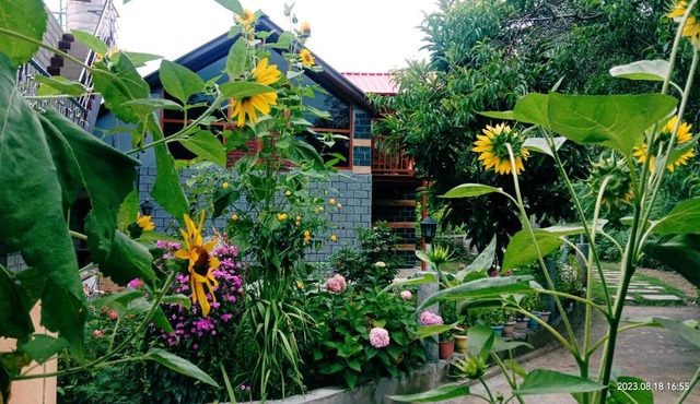 Soondhucottage&Homestay in Nagar