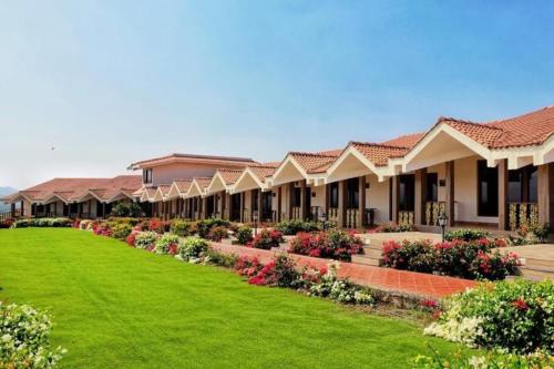Summer Vines - Nashik