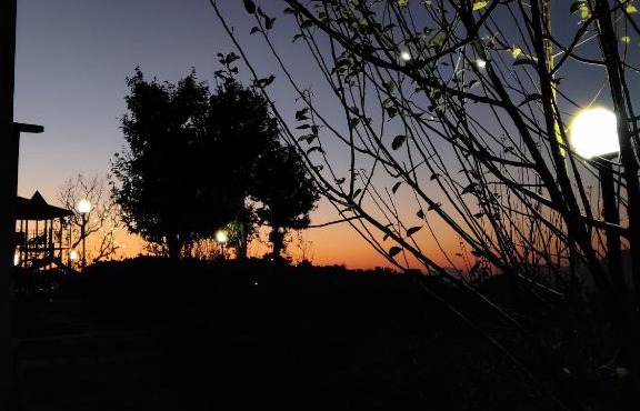 The Orchard in Rājgarh