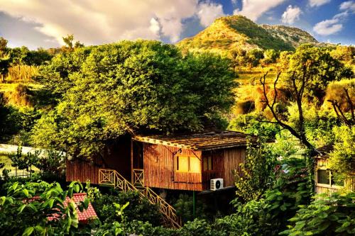 The Tree House Resort, Jaipur- A Club Mahindra Associate in Jaipur