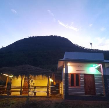 Tree Lines Farm Stay