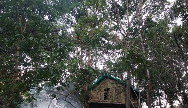Tree top bamboo cottage kodai