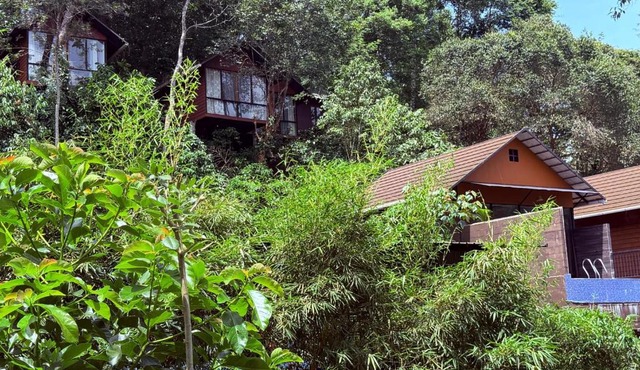 Tree6poolvilla in Vythiri