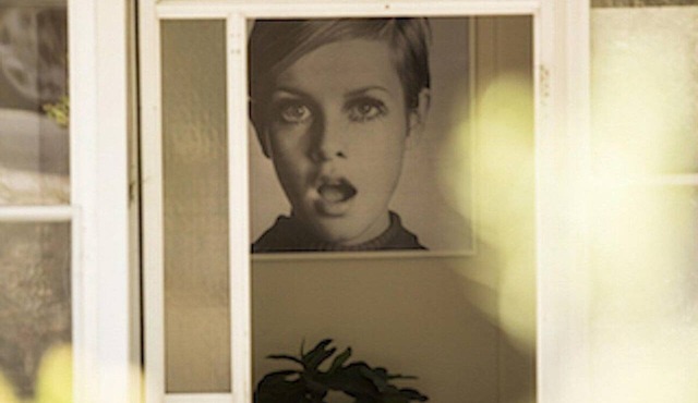 Twiggy, Anglesea. in ANGLESEA