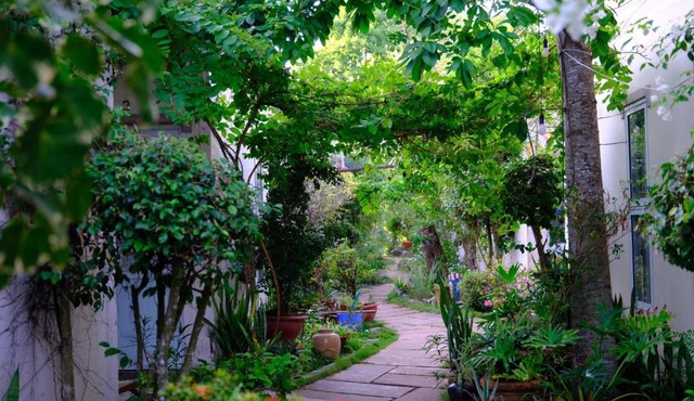 Vila Basi in Cang Long