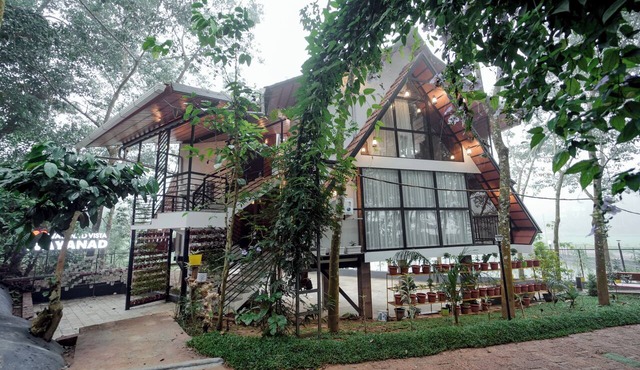 Wayanad Vista Palm View Homes