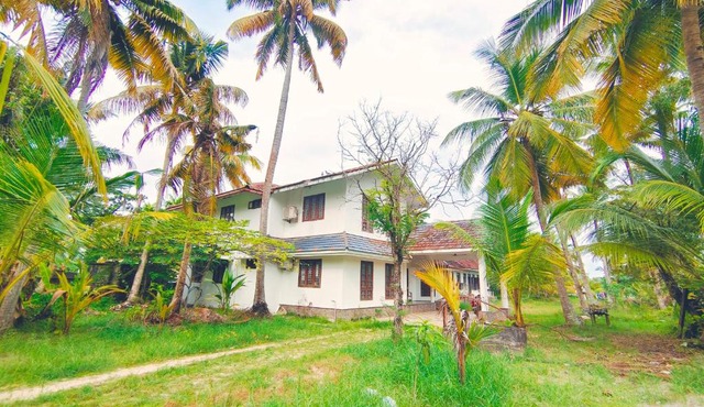 White Sands Homestay