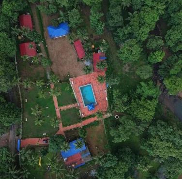 wild paradise jungle homestay in Hankon