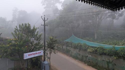 Winter Bloom Homestay Munnar in Munnar