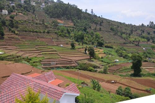 Zyanna Meadows Home Stay