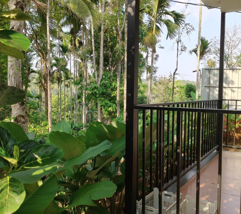 Sulthan Bathery House | FOREST LIGHT Villas