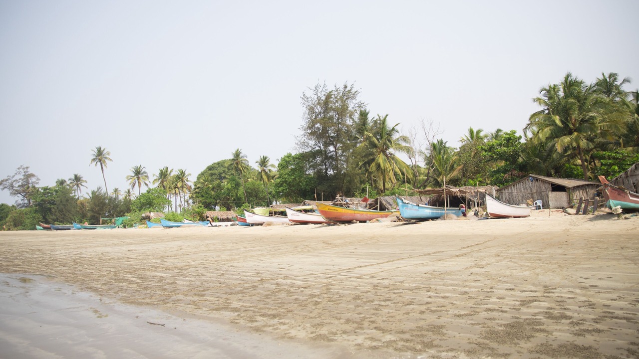 Photo of Outdoor in Mandrem