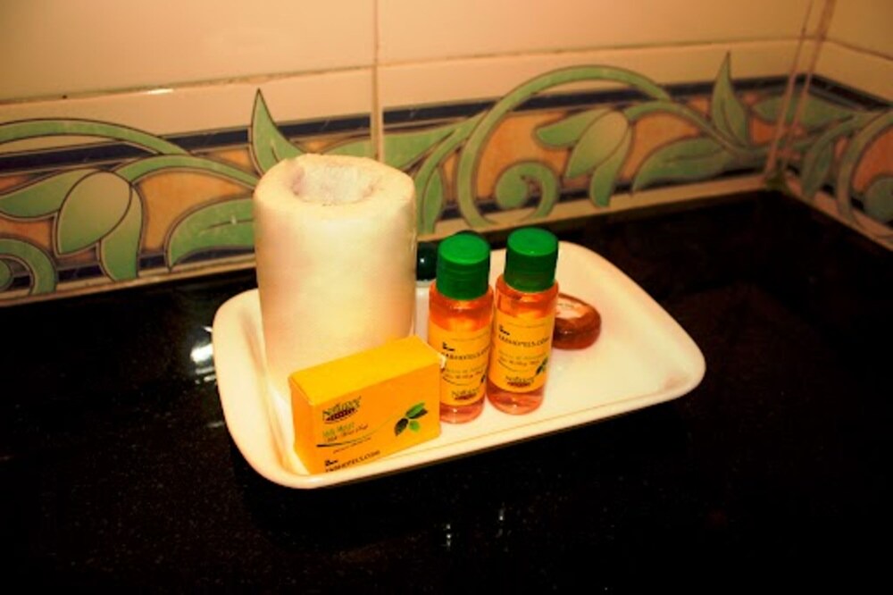 Photo of Bathroom in Wakad