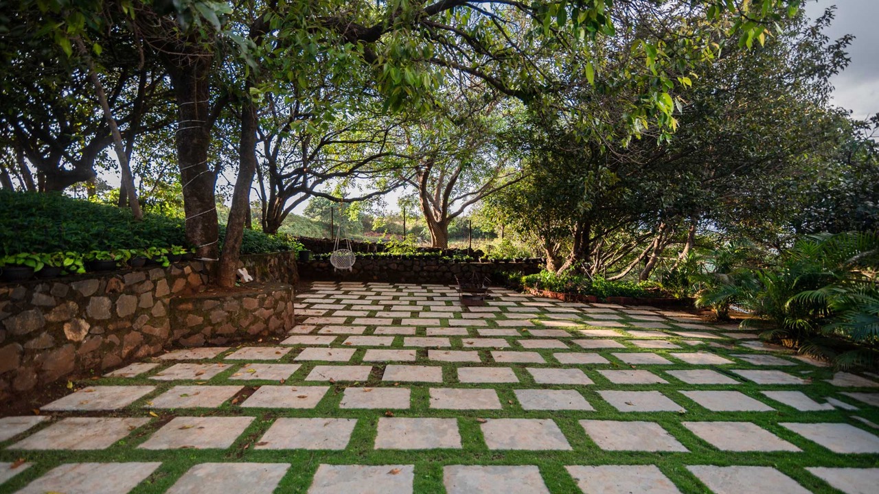 Photo of Outdoor in Medha