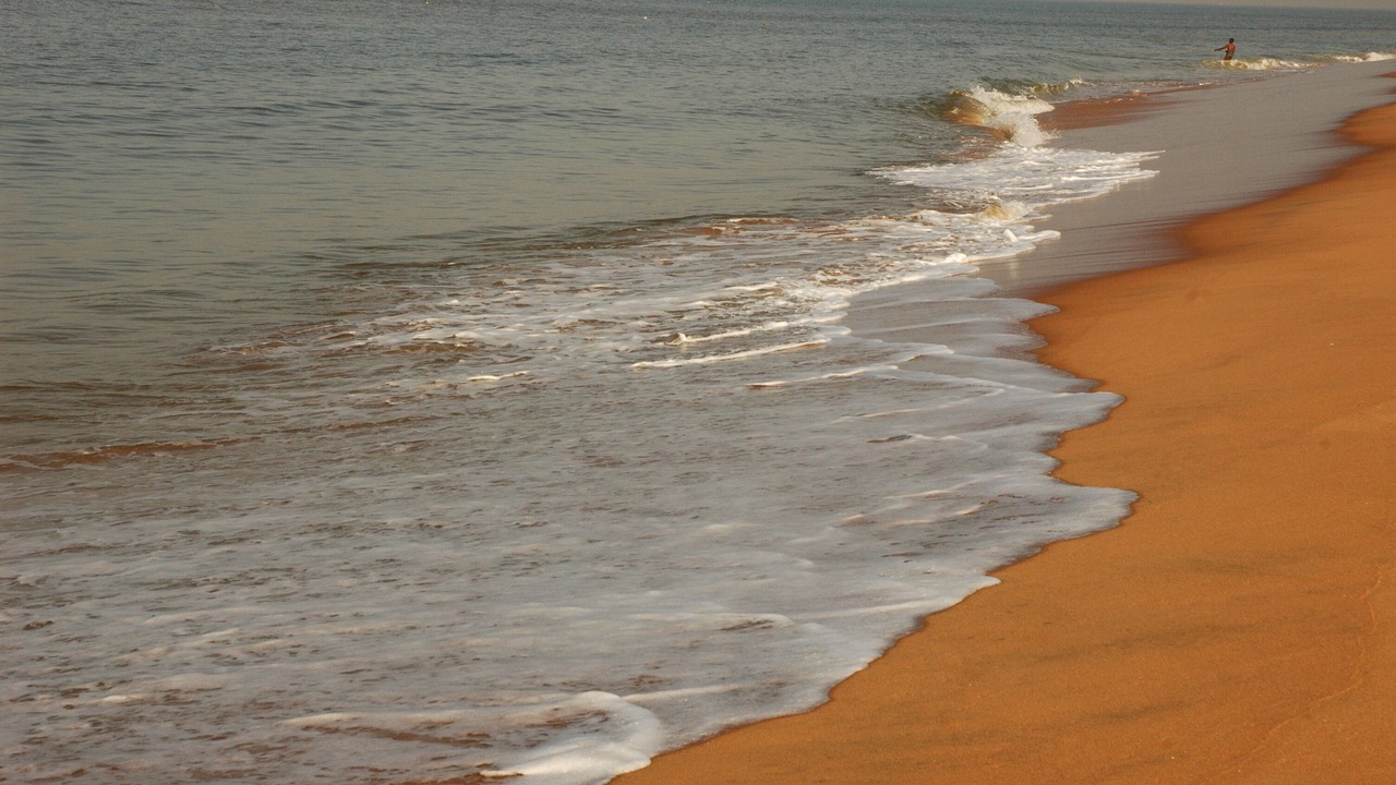Photo of Others in Thiruvananthapuram