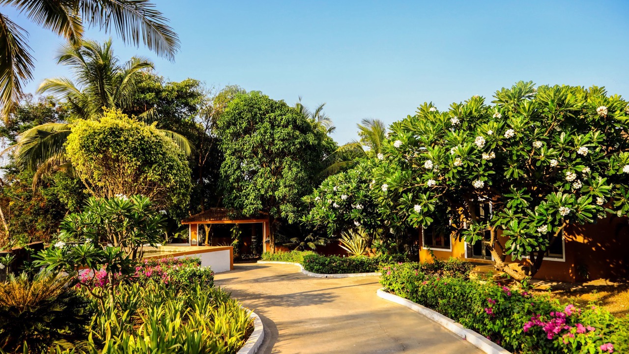 Photo of Outdoor in Ganpatipule