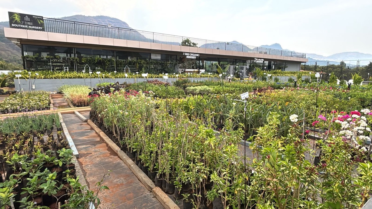 Photo of Outdoor in Paud