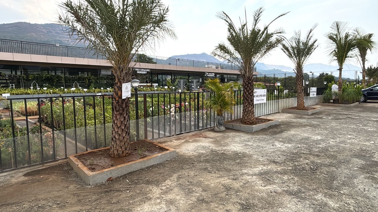 Photo of Outdoor in Paud