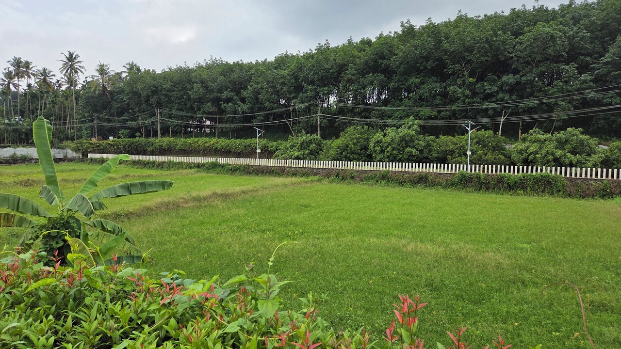 Photo of Outdoor in Perumbavoor