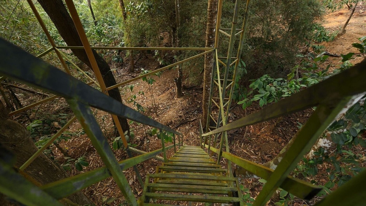 Photo of Outdoor in Panamaram