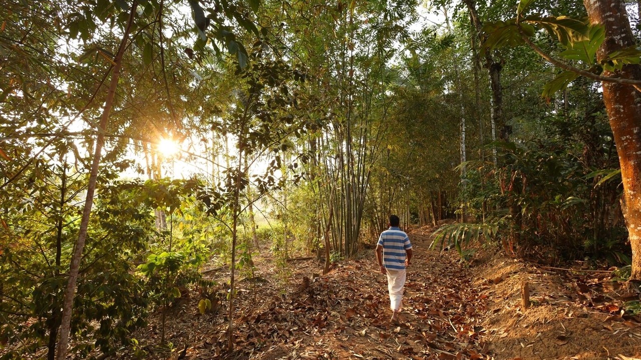 Photo of Others in Panamaram