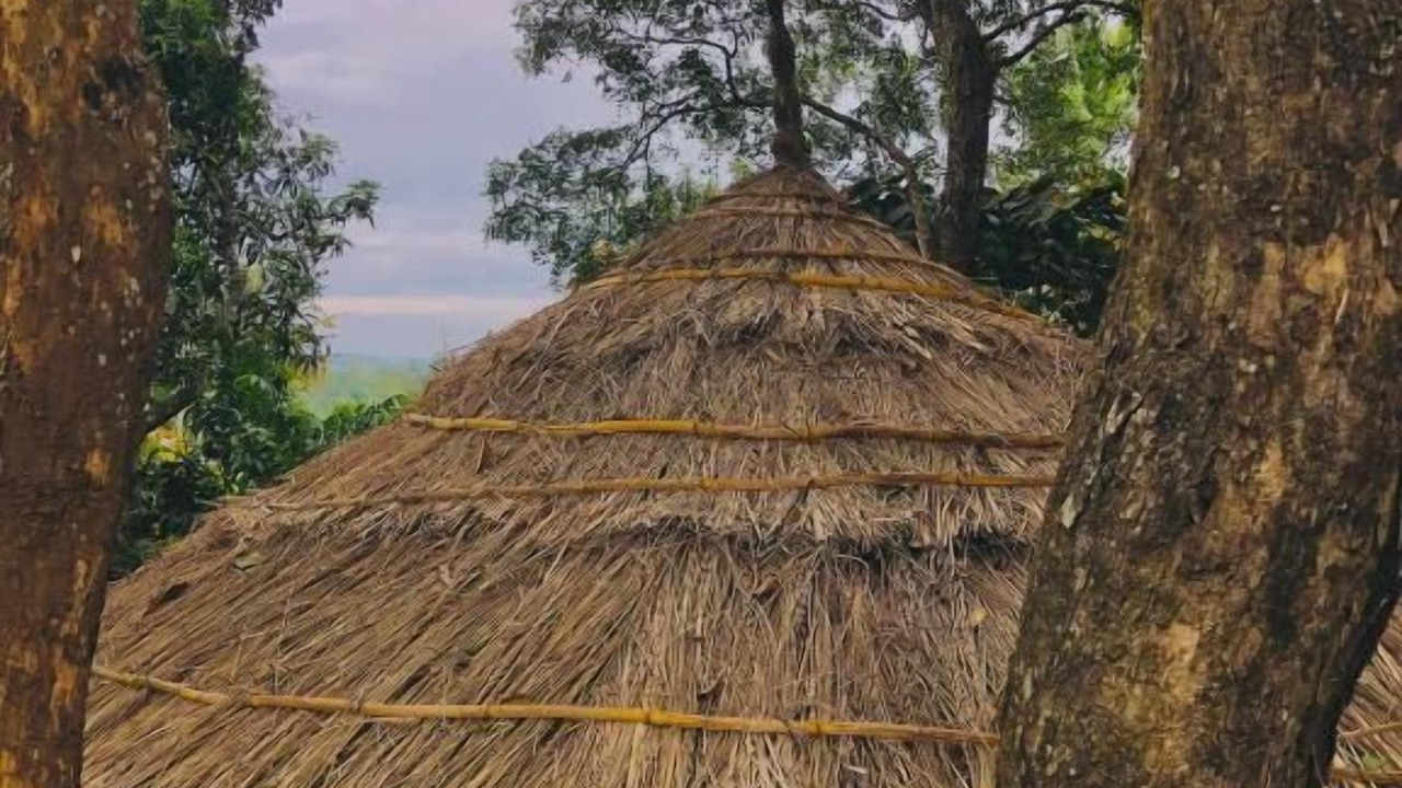 Photo of Outdoor in Ramakkalmedu
