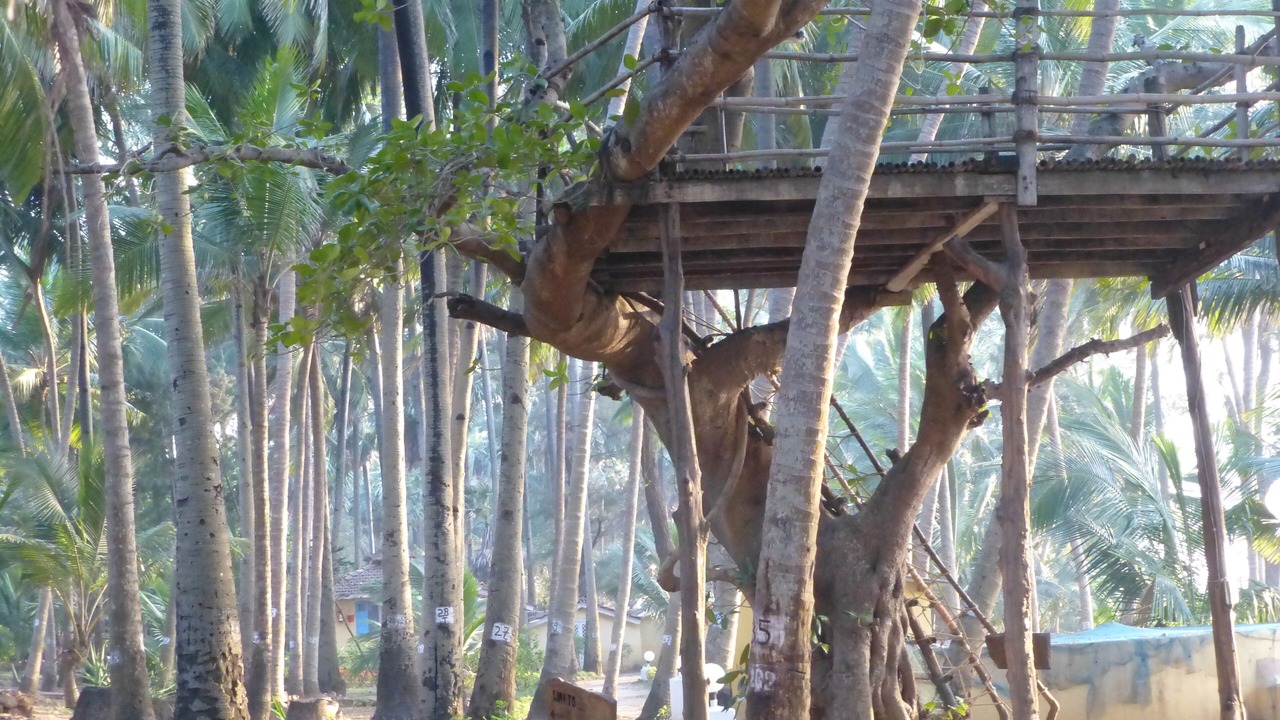 Photo of Outdoor in Manori