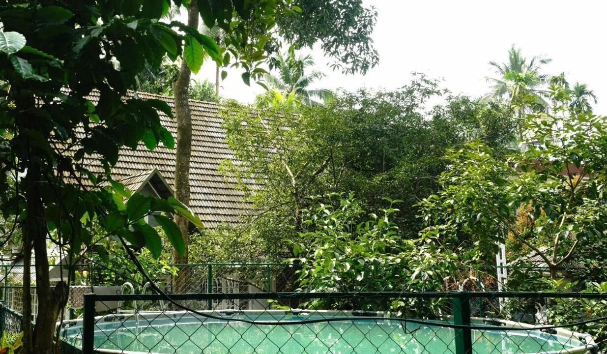 Photo of Outdoor in Lakkidi