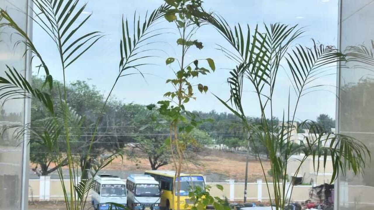 Photo of Outdoor in Rameshwaram