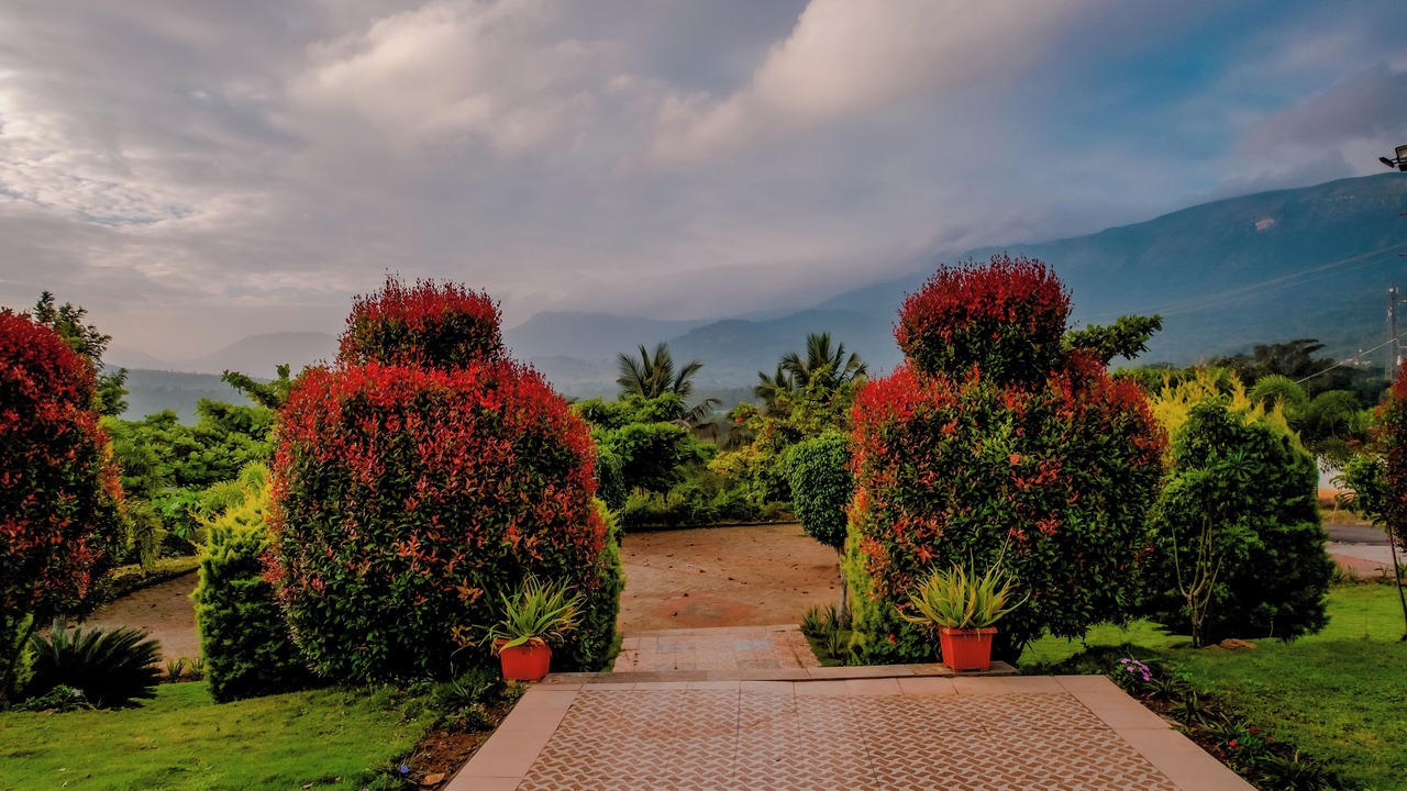 Photo of Outdoor in Tarikere