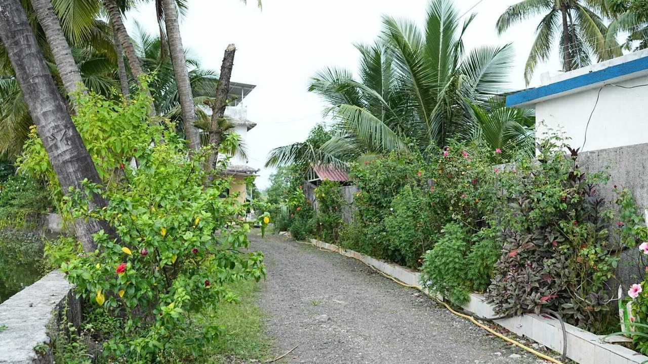 Photo of Outdoor in Awas
