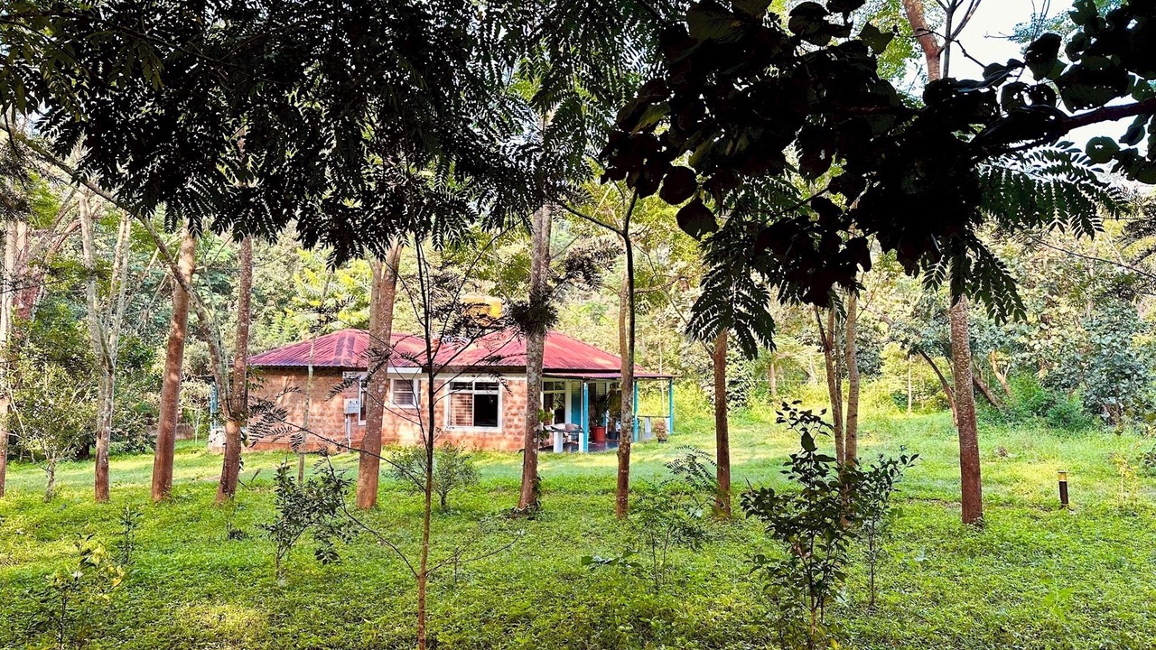 Photo of Outdoor in Madapura