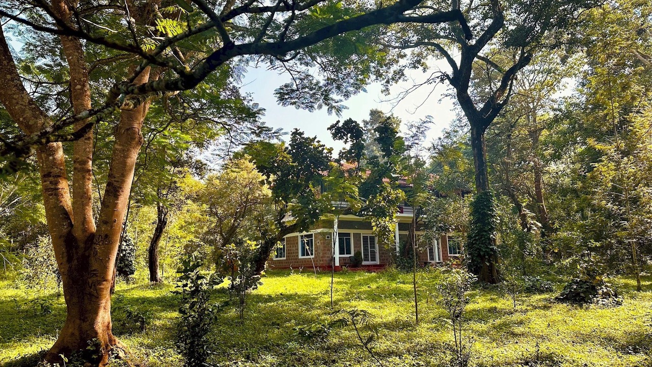 Photo of Outdoor in Madapura