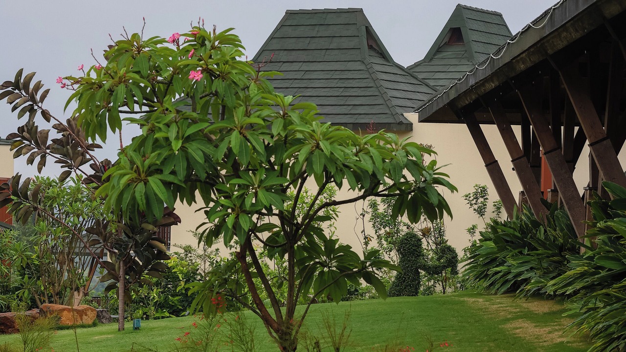 Photo of Outdoor in Surgana