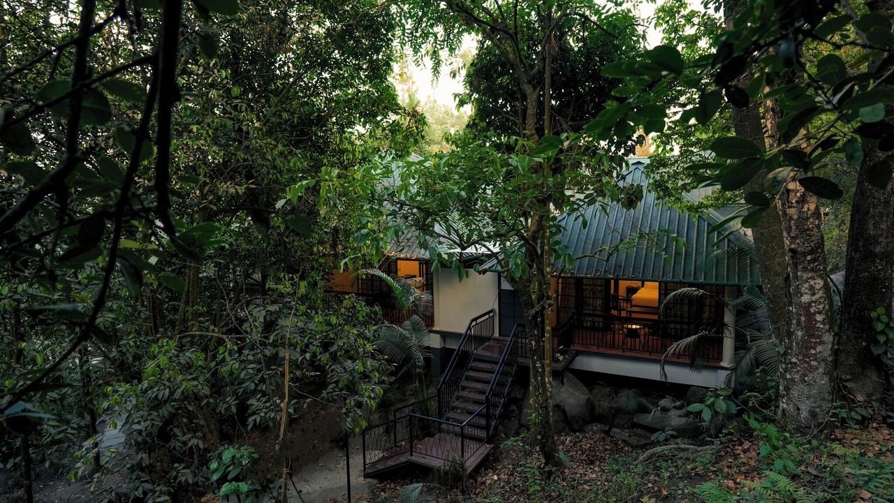 Photo of Outdoor in Kalpetta