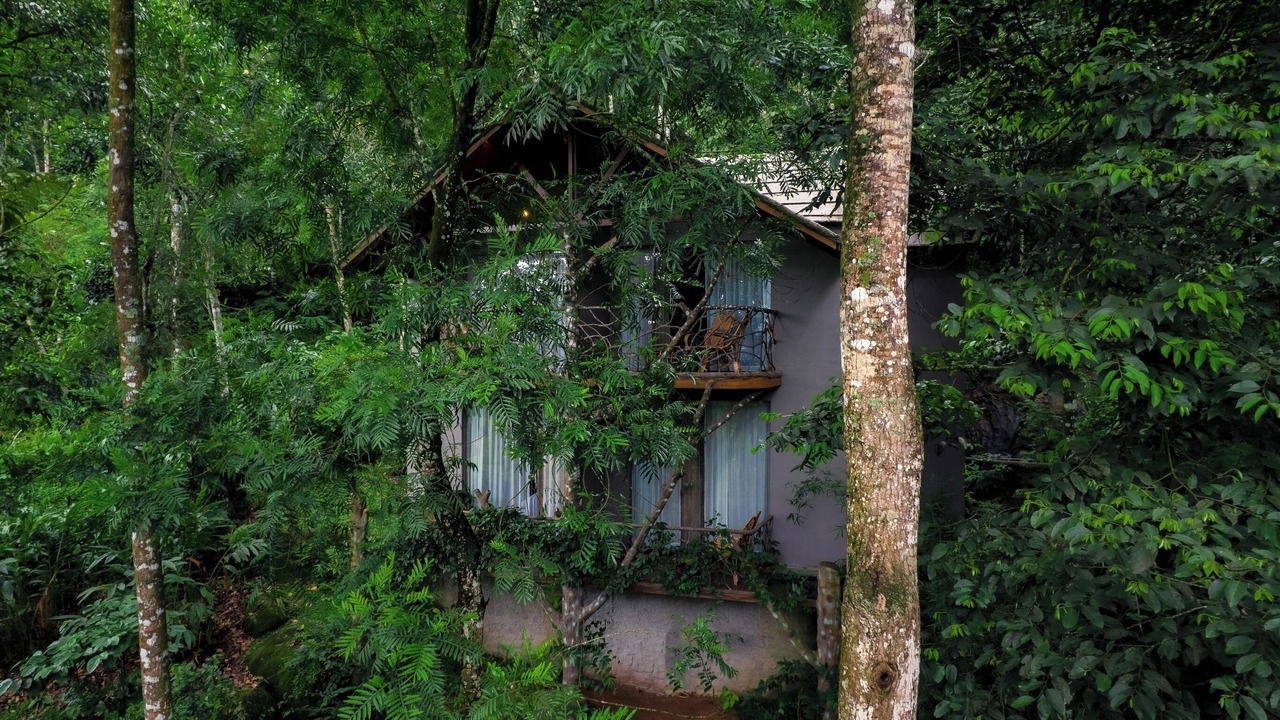 Photo of Outdoor in Pirmed