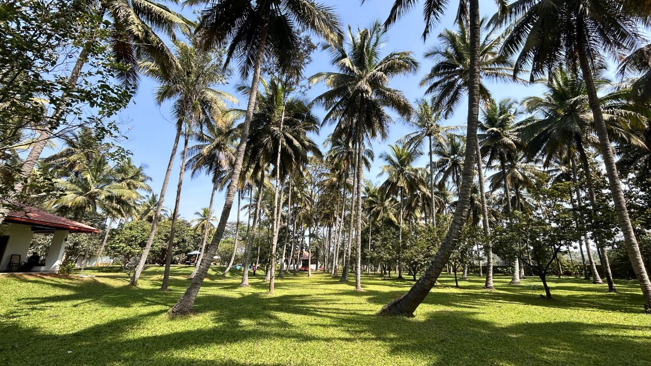 Photo of Outdoor in Narasapura