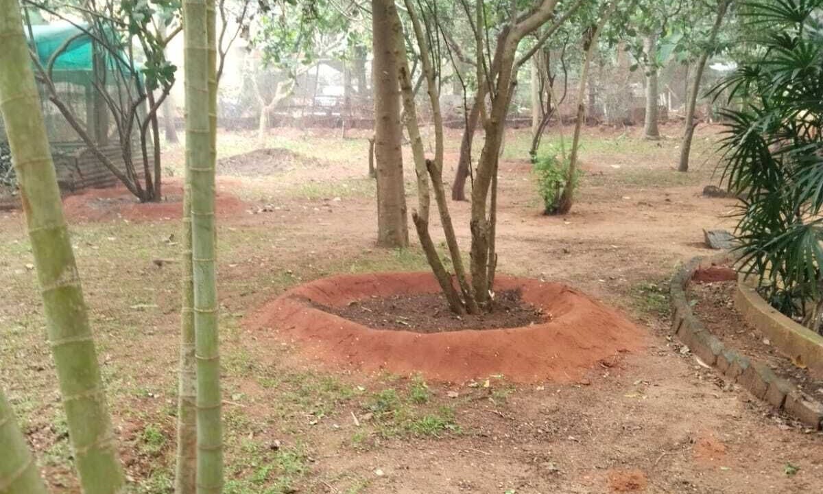 Photo of Outdoor in Bommayapalayam